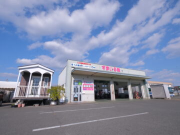 サムネイル画像